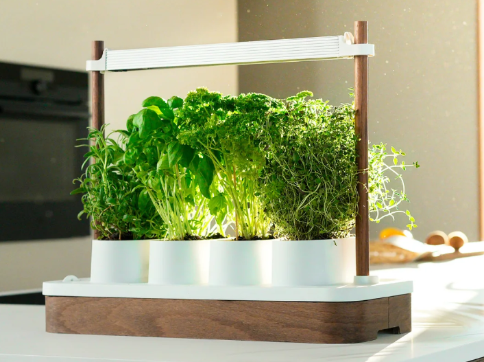 Potager Lumina 45