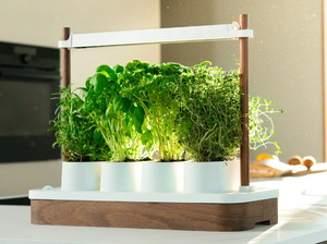 Potager Lumina 45