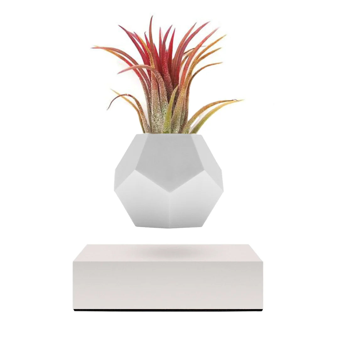 Vase Lévitant Éther