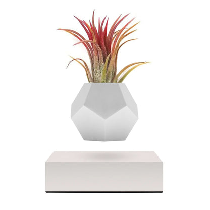 Vase Lévitant Éther